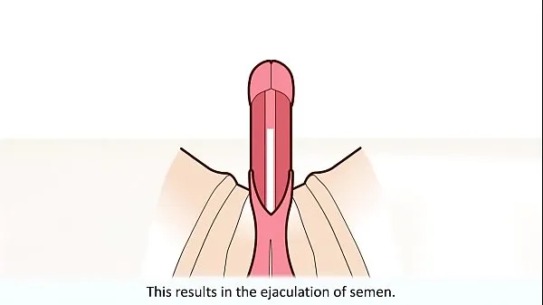 新鮮な 男性のオルガスムは説明しました 個の新しいクリップ