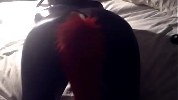 My gorgeous wife loves to put on her vinyl catsuit and be ready for me in bed... I then put the leather head-harness on her, and a nice foxy-tail butt-plug before fucking her hard novos clipes